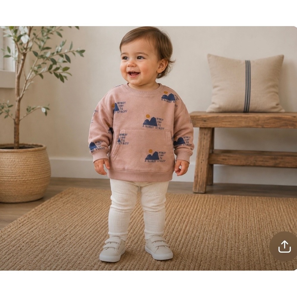 Zara Every Day is a Great Start Mountain Graphic Sweatshirt Todder sz 18-24 mos